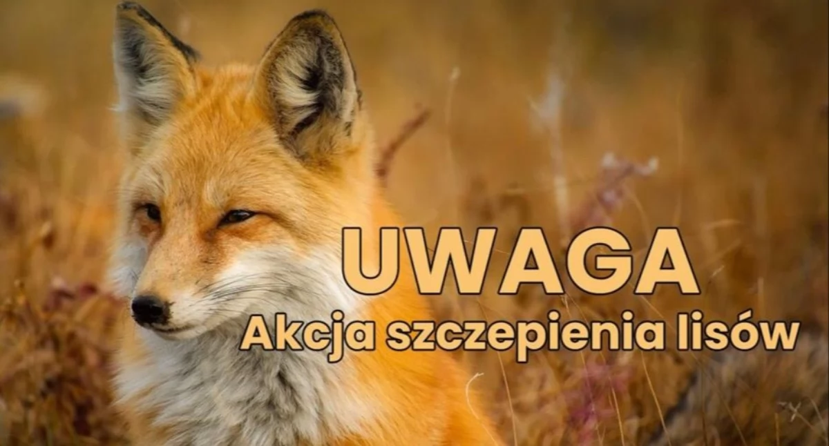 Wojewódzki Inspektorat Weterynarii w Białymstoku