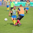 Fotka nr 4 z 19
