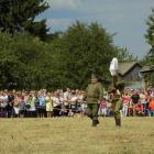 zdjęcie nr 99
