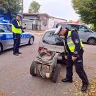 Fotka nr 1 z 8