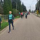 zdjęcie nr 19