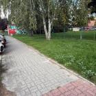 Fotka nr 5 z 26