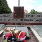 zdjęcie nr 31