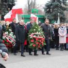 zdjęcie nr 15