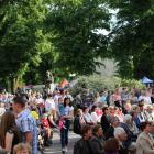 zdjęcie nr 33