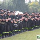zdjęcie nr 25