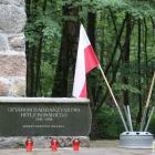 zdjęcie nr 23