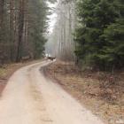 Fotka nr 5 z 12