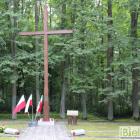 zdjęcie nr 36