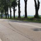 Fotka nr 2 z 17