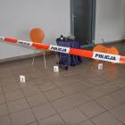Fotka nr 2 z 6