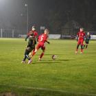 Fotka nr 5 z 17