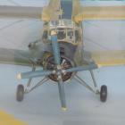 Fotka nr 3 z 18