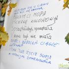 zdjęcie nr 19