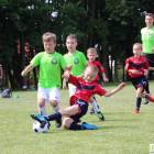 zdjęcie nr 17