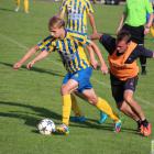 zdjęcie nr 19