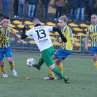 zdjęcie nr 14