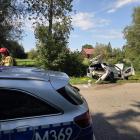 Fotka nr 2 z 4