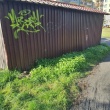 zdjęcie nr 