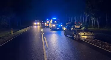 Łoś wtargnął na DK 66. Samochód zderzył się ze zwierzęciem, jedna osoba trafiła do szpitala